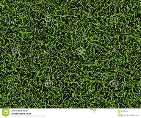 Bright Curled Lush Green Grass Texture Stock Image Image Of Freshness