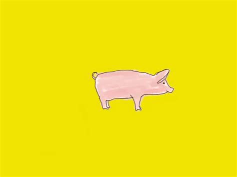 Pig  By Jason Potak On Dribbble