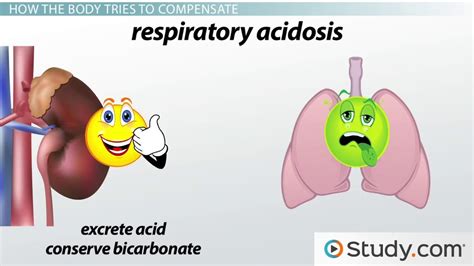 Metabolic Acidosis Causes Symptoms And Treatment Video Lesson