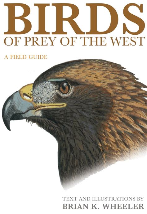 New Books Birds Of Prey Of The East West