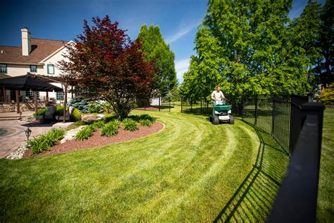 Allentown Pa Lawn Care Tree Service And Pest Control Joshua Tree