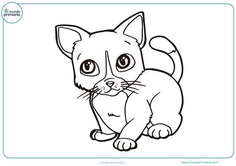Dibujos De Perros Y Gatos Para Niños - Noticias del Perro