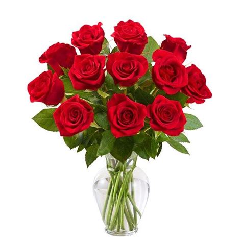 12 Long Stemmed Red Roses Arranged With Greenery Sending Roses Is