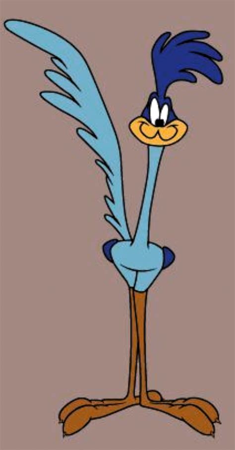 Looney Toons Characters Road Runner Looney Tunes Characters