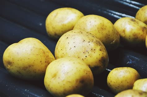 Free Images Fruit Food Produce Washing Tubers Potatoes A