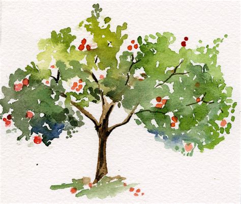 Apple Tree Drawings
