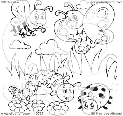 This will help them develop attentiveness and fine motor skills. Clipart Outlined Bee Butterfly Caterpillar And Ladybug ...
