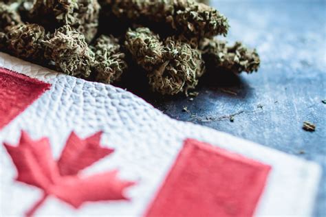 However, keeping accurate records of the acquisition cost is very important, because it forms the cost base for. Is Weed Legal In Canada? Buying Weed With Confidence I ...