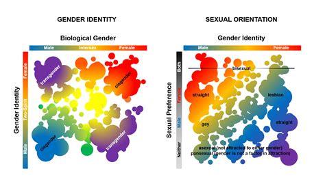 Between the (Gender) Lines: the Science of Transgender Identity - Science in the News