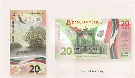 Banxico 2022 Cuándo y por qué desaparecerá el nuevo billete de 20 pesos