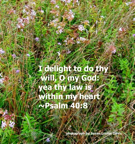 Psalm 40:8 | Psalm 40, Psalms, Scripture