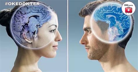 Inilah 4 Perbedaan Otak Pria Dan Wanita