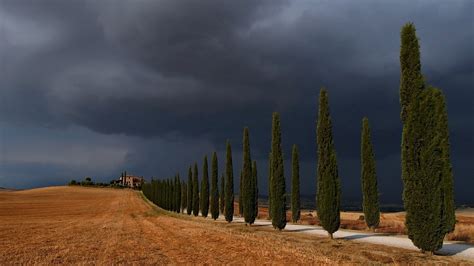 Storm Val Dand039orcia Trees Road Sky Landscape