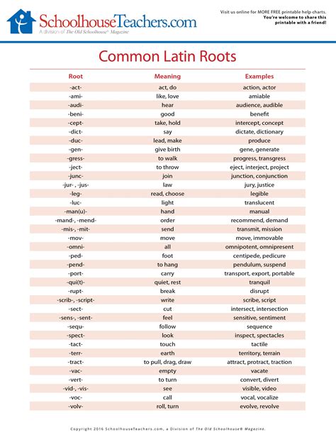 Latin Root Word Worksheet