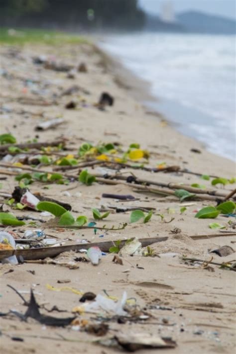 Itwire Ocean Plastic Increasing Pollution On Australian Beaches Says