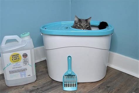 The 5 Best Top Entry Litter Boxes