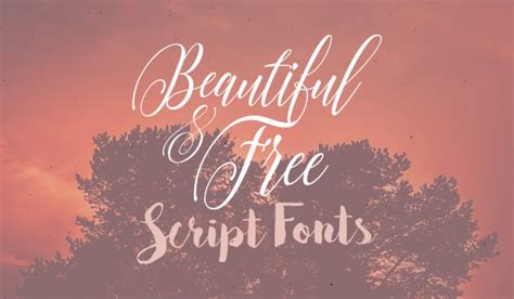 Top 10 Most Beautiful And Free Script Fonts Available Online ⋆ Vervex