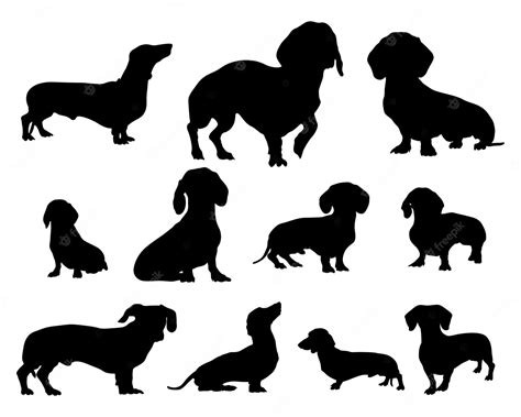 Premium Vector Dachshund Dog Silhouettes Animal Silhouettes Vector