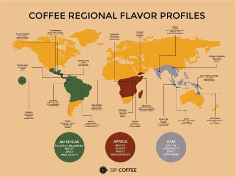 Arabica Vs Robusta Similarities And Differences