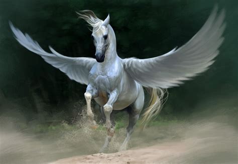 Pegasus Stallion Art Id 52169