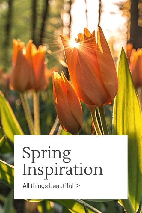 The Sweetest Spring Quotes To Welcome The Season Of Renewal Facts For