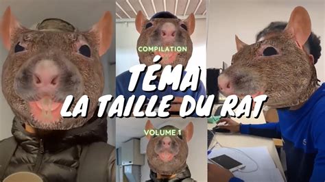 TÉMA LA TAILLE DU RAT 🐀 COMPILATION 🐀 - YouTube