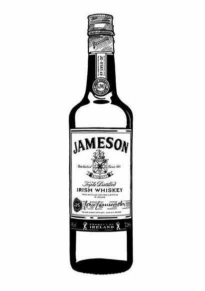 Whiskey Bottle Jameson Drawn Hand Illustration