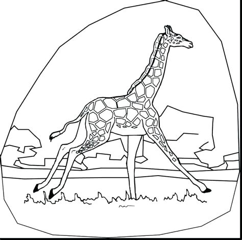 Cute Baby Giraffe Coloring Pages At Free Printable