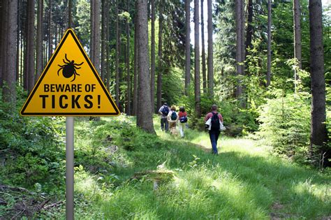 Ticked Off Protect Yourself From Lyme Disease • Snowshoe Magazine