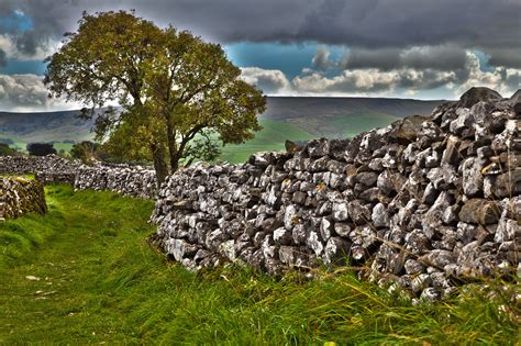 Free Images Landscape Sea Coast Tree Nature Path Grass Rock