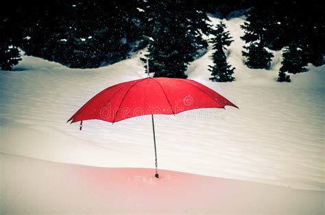 Red Umbrella Stock Photo Image Of Umbrella Snow White 50916328