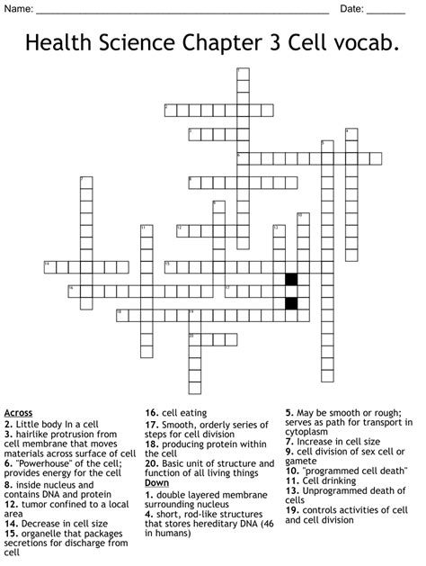 Health Science Chapter 3 Cell Vocab Crossword Wordmint