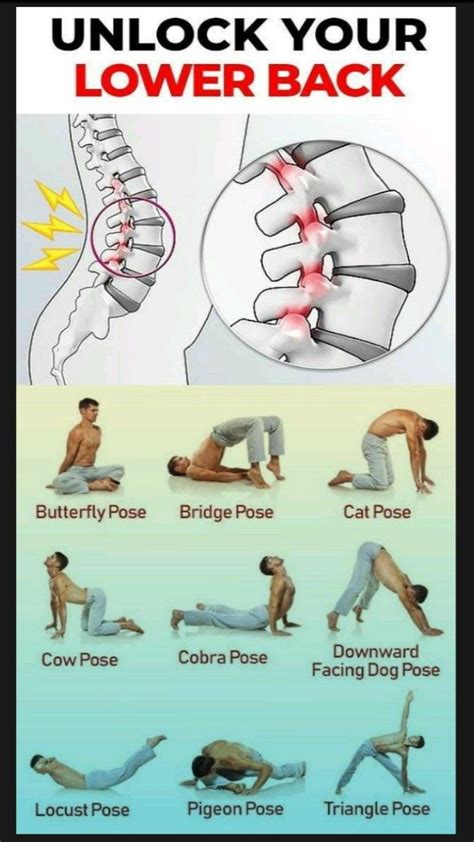 10 Exercises To Strengthen The Lower Back Healthy Lifestyle