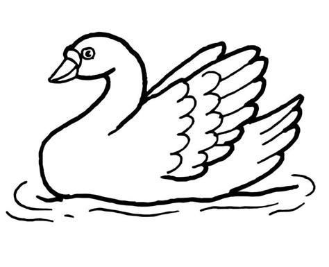 Purchase an exclusive ttss item and honor a special someone or. Trumpeter Swans Family Coloring Page - Free Printable ...