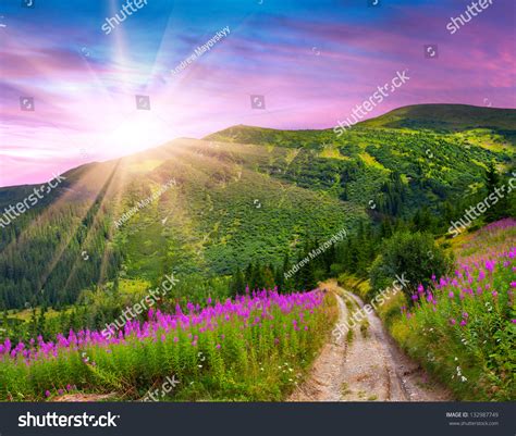 Beautiful Summer Landscape In The Mountains With Pink