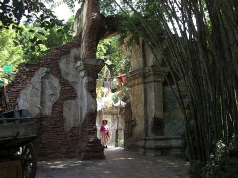 Disneys Animal Kingdom Picture Gallery Orlando Inside