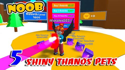 Noob With 5 Strongest Thanos Pets The Best Pet In Magnet Simulator