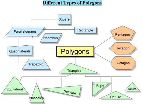 What are the Different Types of Polygons - A Plus Topper