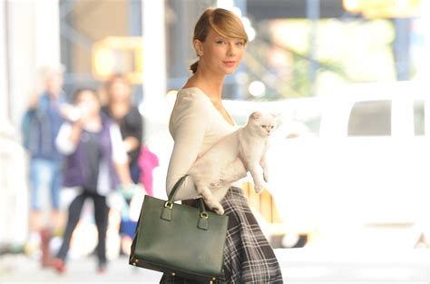 Taylor Swifts Cat Olivia Benson Is Worth 97 Million Reportedly