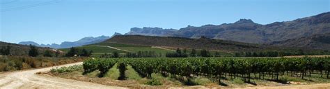 Cederberg Wine Cellars Cederberg Western Cape