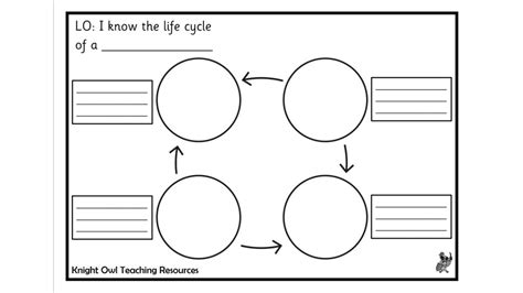 Life Cycle Template