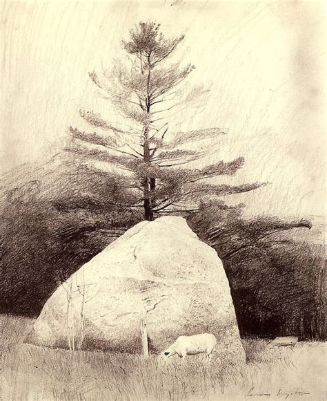 Wyeth Tree Drawing In 2019 Andrew Wyeth Andrew Wyeth Paintings