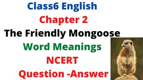 Class English Chapter The Friendly Mongoose Word Meanings Ncert