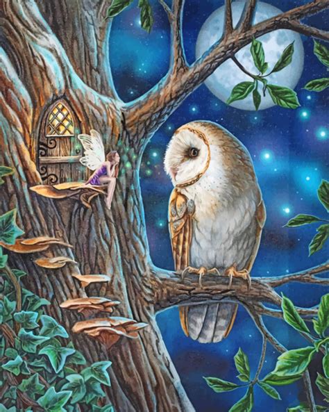 Fairy And Owl Art Paint By Numbers Numeral Paint Kit