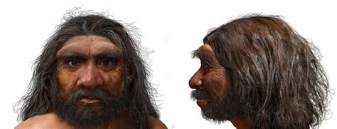 Dragon Man Scientists Say New Human Species Is Our Closest Ancestor