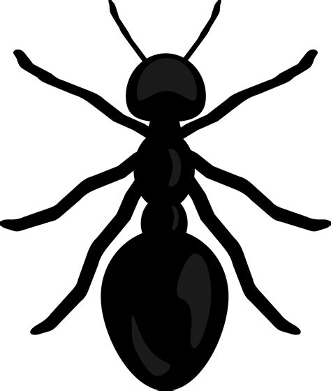Ant Clipart Black And White 46 Cliparts