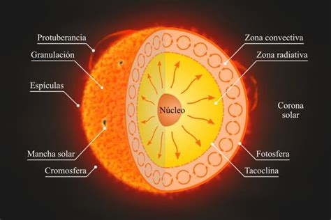 La Estructura Del Sol Astrosigma