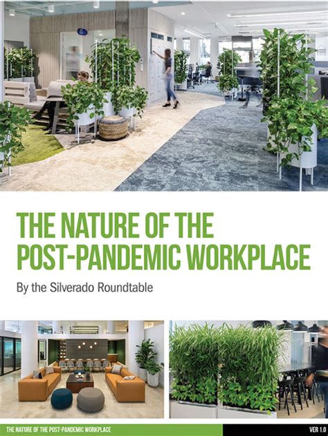 The Nature Of The Post Pandemic Workplace Green Plants For Green