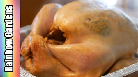 delicious and moist thanksgiving turkey with extra crispy skin how to cook a turkey w butter