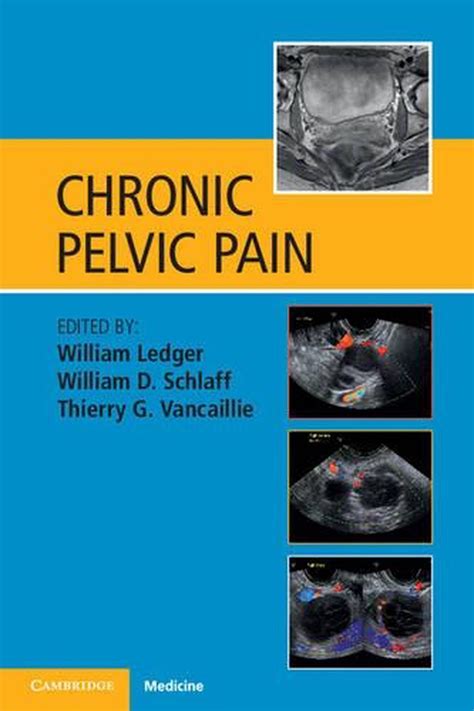 Chronic Pelvic Pain By William Ledger And William D Schlaff English